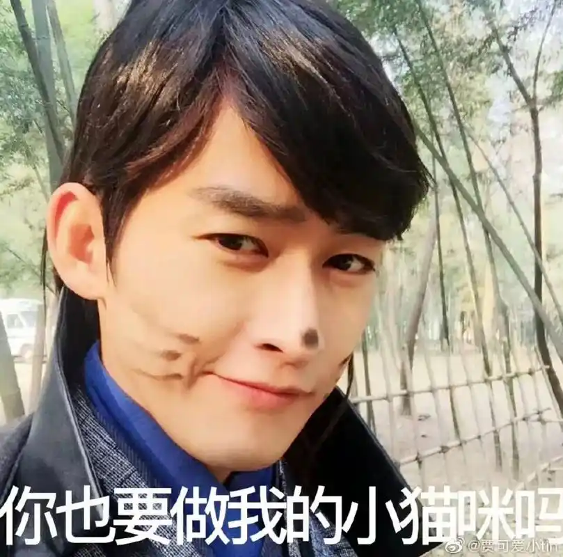 张翰表情包7815想要
