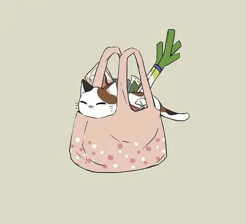 小野二的相册猫猫治愈系