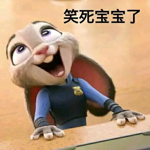 笑死宝宝了搞笑斗图可爱gif动图_动态图_表情包下载_soogif