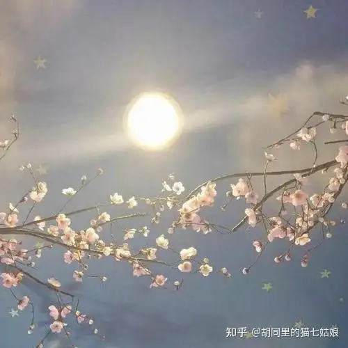 教堂的白鸽不会亲吻乌鸦,就像我配不上星空下的他