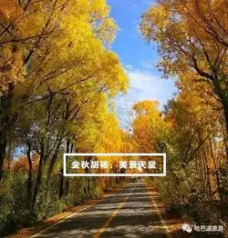听我的,点进来小众打卡地免费名额送给你