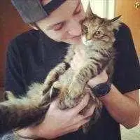 怀里抱着猫的男生头像微信头像图片大全