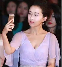 娱乐圈十大未解之谜其一苏有朋和颜丹晨到底是夫妻吗