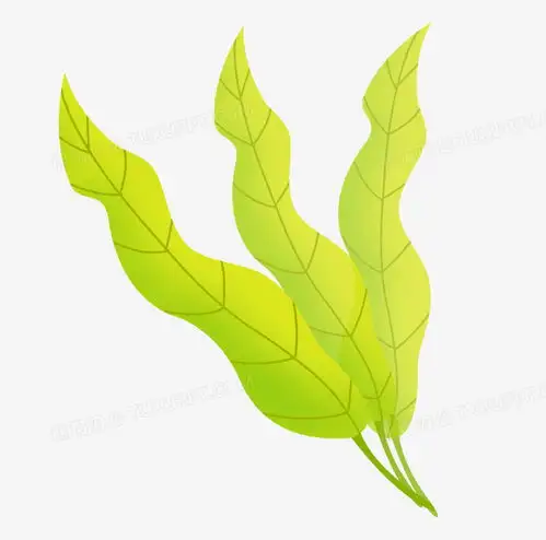 夏天立夏卡通手绘绿色系植物叶子绿植元素装饰png图片素材免费下载psd格式35833543像素熊猫办公