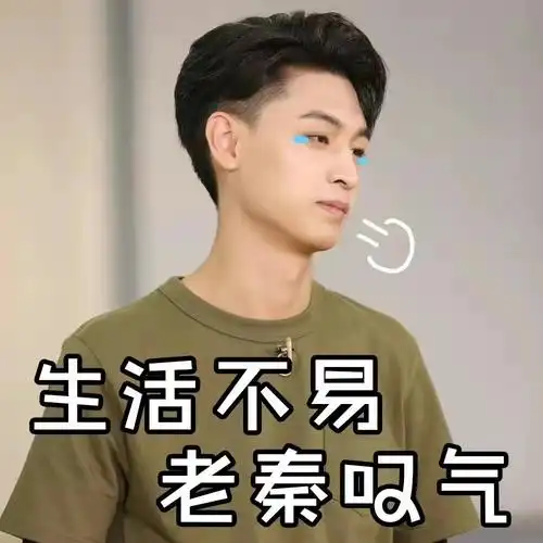 秦霄贤表情包秦