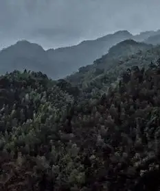 她像一个古人,行走在中国山水画卷中雪小禅最美微刊武夷山特辑