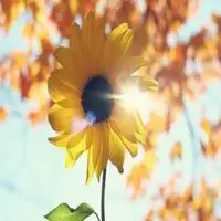 阳光积极头像微信头像图片大全