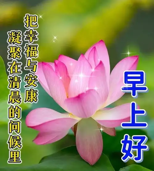 最美好的早上好问候语,积极阳光心态的句子