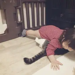 绝对治愈系照片孩子与猫咪的日常生活
