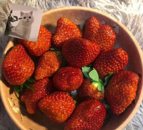 草莓系穿搭是什么鬼甜甜甜疯了