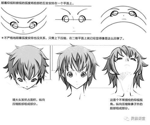 萌系美少年漫画造型丨仰视俯视以及情感表现