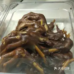 尚顶香鹅肉饭店ibc店的鹅掌好不好吃用户评价口味怎么样深圳美食鹅掌实拍图片大众点评
