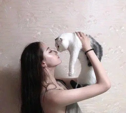 玩家的头像是用手抱猫,却被光子告知有风险因素,风险是什么