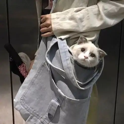 头像不思进取,思你鸡汤