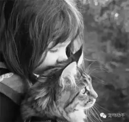 治愈系猫咪和小萝莉画家,一起打败自闭症