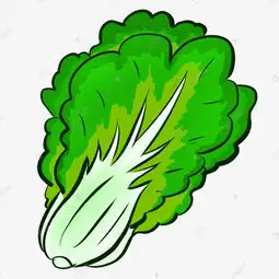 原生态自然大白菜绿色清新卡通手绘农产品免抠图素材图片免费下载千库网