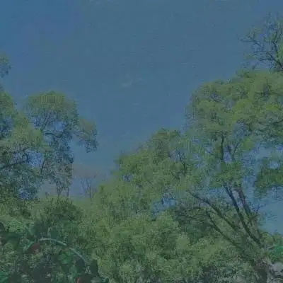 风景静物头像你若爱,生活哪里都可爱