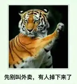 年初二老虎咬死人事件观察舆情为何一边倒沉痛悼念老虎