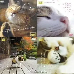 万花筒超经典治愈系高分猫咪电影猫咪物语