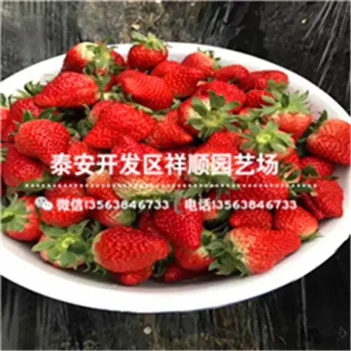 玉林黄页88网