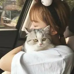 抱猫谈情情侣头像一左一右qq头像扣扣居