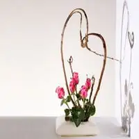 微信头像工艺品插花微信头像图片大全