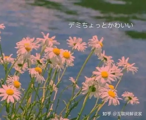 治愈系的温柔干净文案