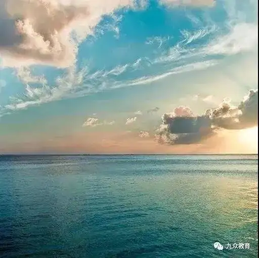 2018年最讽刺的网络言论