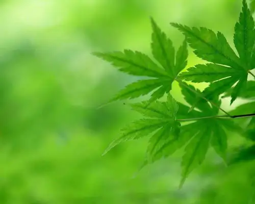 什么理由都是牵强的,唯一不够的还是没有太珍惜彼此