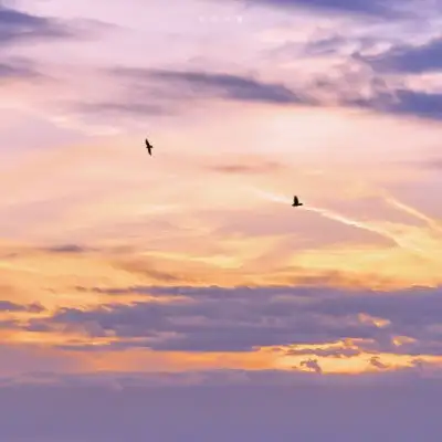 唯美黄昏风景背景图我的耐心和微信头像我要个性网