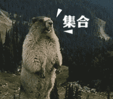 猫和老鼠斗图表情包史上最全版