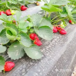 电话,地址,价格,营业时间