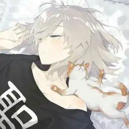 敲甜的头像
