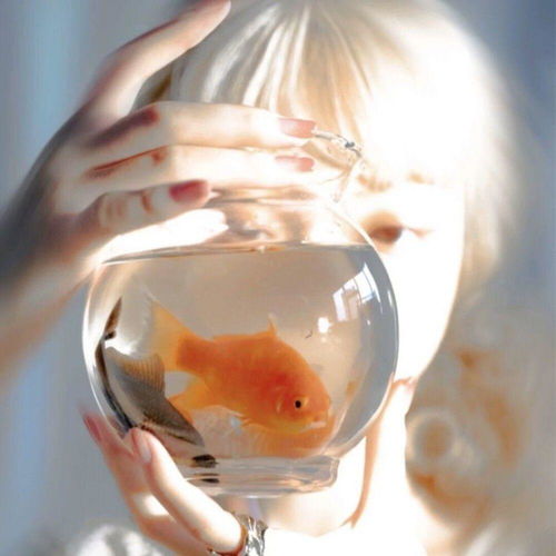 有没有超好看的黄色系头像