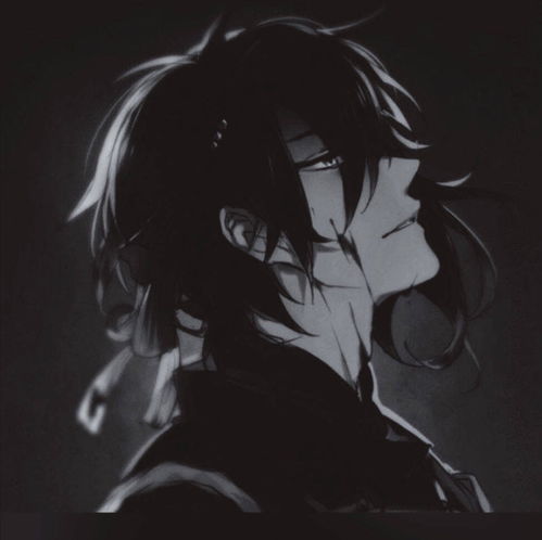 无标题
