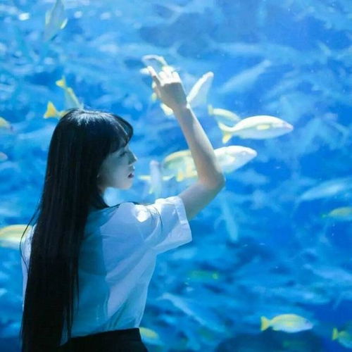 女人最好的修养独立,善良,谦逊