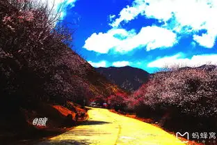 转山转湖转森林
