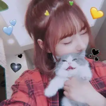 女头韩系高冷抱猫高冷女生抱猫头像