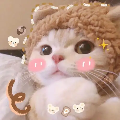 你买房亏了多少