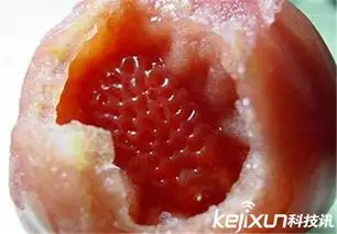 西红柿里吃出草莓网友厉害了我的草莓夹心西红柿