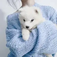 和狗狗一起的女生头像
