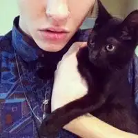 抱着猫咪的情侣头像