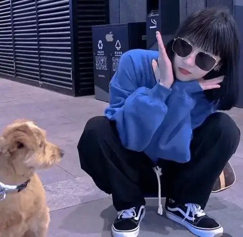 今日情头当太阳升起时该把昨天忘掉