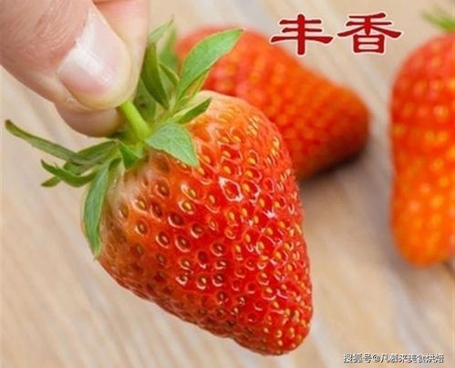 24种常见草莓品种,中国20大草莓产地哪里的草莓最好吃