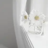 纯白色简单的清新个性头像