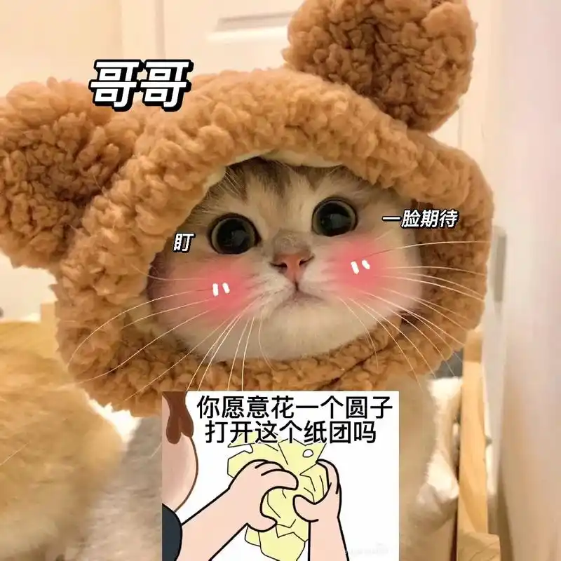 快去套路男朋友.#表情包#情侣表情包#发给对象表情包#-抖音