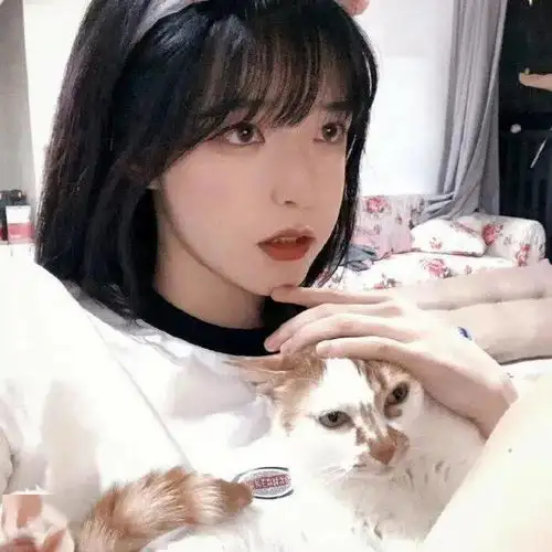 头像图片丨女生头像丨可爱的猫系女头1214