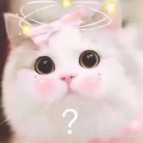 有哪些适合和妹子聊天开场白的表情包