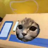 动画猫躲着看的头像女生微信头像图片大全