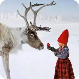 乐可旅行全球六大最美雪景盘点